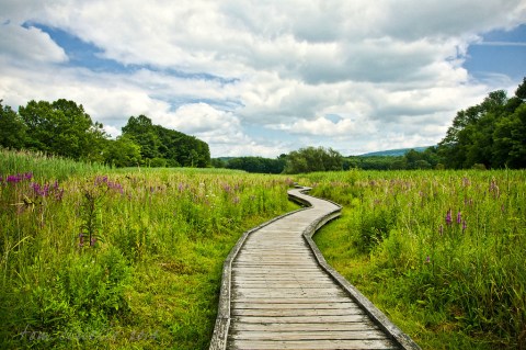 15 Incredible Hikes Under 5 Miles Everyone In New Jersey Should Take