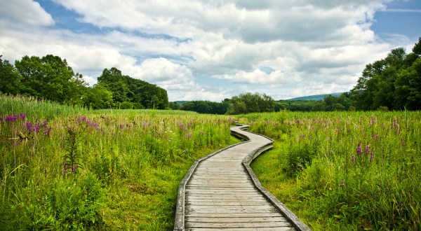 15 Incredible Hikes Under 5 Miles Everyone In New Jersey Should Take