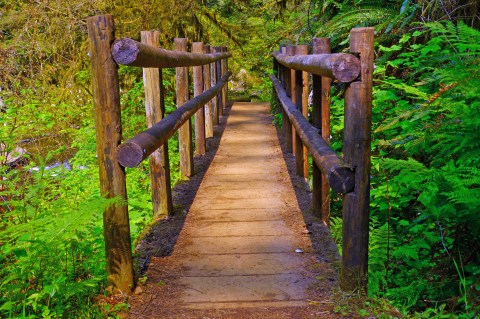 14 Incredible Hikes Under 5 Miles Everyone In Oregon Should Take