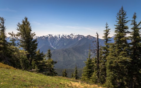12 Fascinating Things You Probably Didn’t Know About The Olympic National Park