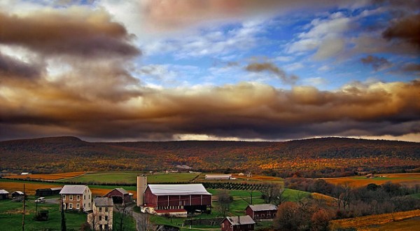 15 Reasons Why My Heart Will Always Be In Pennsylvania
