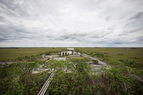 There's Something Incredible Hiding Underground In The Florida Everglades