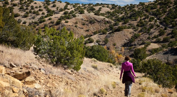 12 Incredible Hikes Under 5 Miles Everyone In New Mexico Should Take