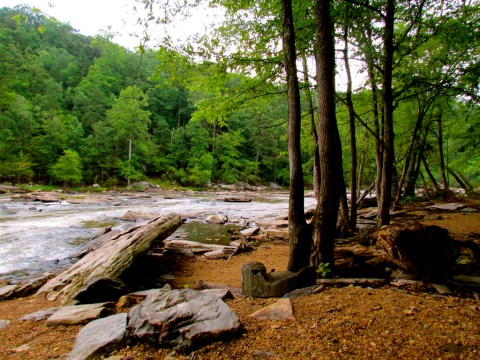 10 Gorgeous Hikes Under 5 Miles Everyone In Georgia Should Take