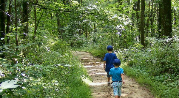 9 Incredible Hikes Under 5 Miles Everyone In Indiana Should Take