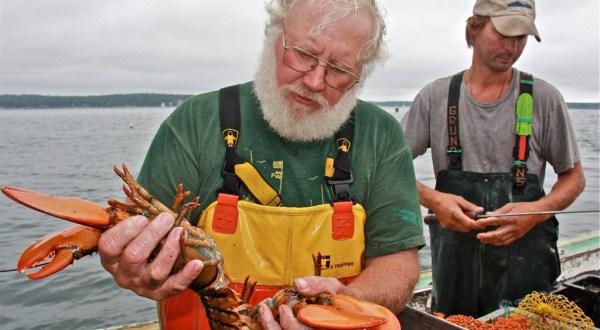The 15 Types Of People You’ll Meet In Maine – Which One Are You?