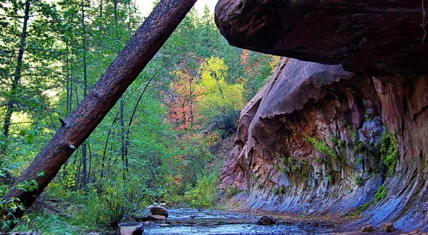 12 Incredible Hikes Under 5 Miles Everyone In Arizona Should Take