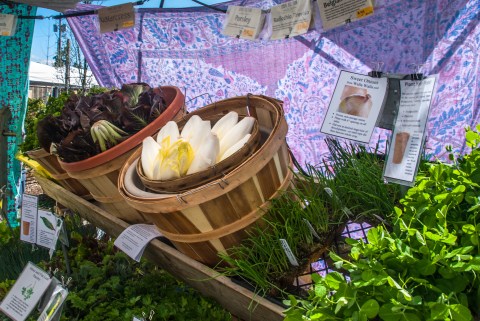These 11 Incredible Farmers Markets In Oregon Are A Must Visit