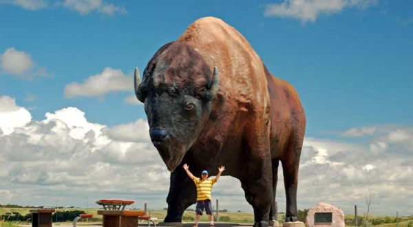 6 Fascinating Things You Probably Didn’t Know About The National Buffalo Museum In North Dakota