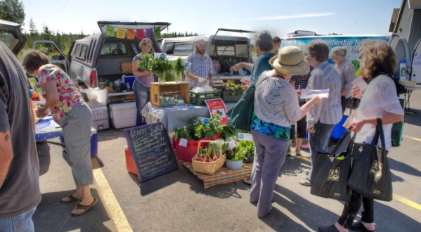 These 7 Incredible Farmers Markets In Alaska Are A Must Visit