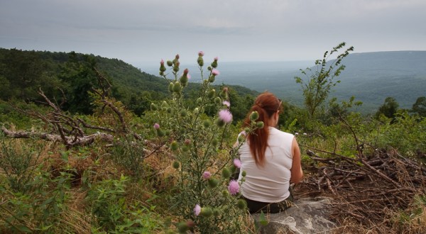 12 Incredible Hikes Under 5 Miles Everyone In Arkansas Should Take
