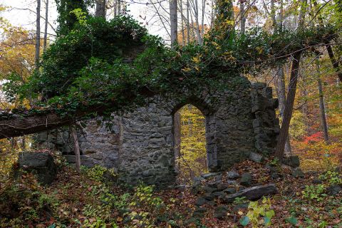 Nature Is Reclaiming This One Abandoned Maryland Spot And It's Actually Amazing
