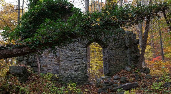 Nature Is Reclaiming This One Abandoned Maryland Spot And It’s Actually Amazing