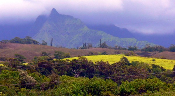 Here Are 14 Things They Don’t Teach You About Hawaii In School