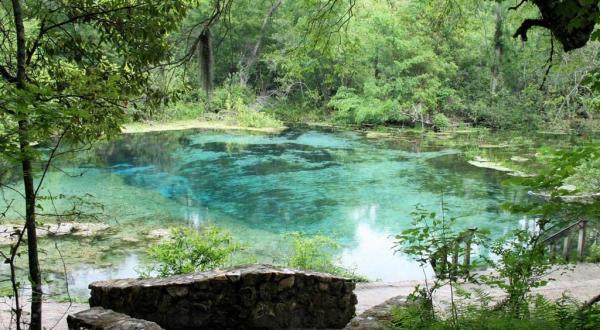 Everyone in Florida Must Visit This Epic Natural Spring This Summer