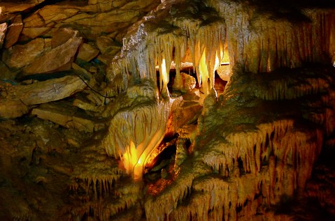 14 Fascinating Things You Probably Didn't Know About Mammoth Cave In Kentucky