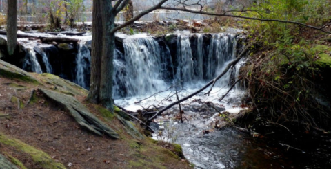 13 Incredible Hikes Under 5 Miles Everyone In Massachusetts Should Take
