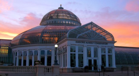 10 Fascinating Things You Probably Didn't Know About The Como Park Zoo & Conservatory In Minnesota