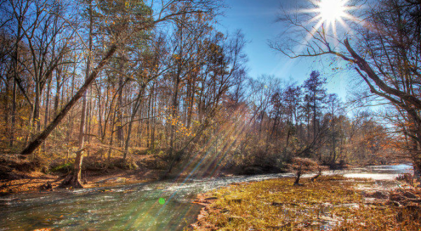 10 Incredible Hikes Under 5 Miles Everyone In Mississippi Should Take