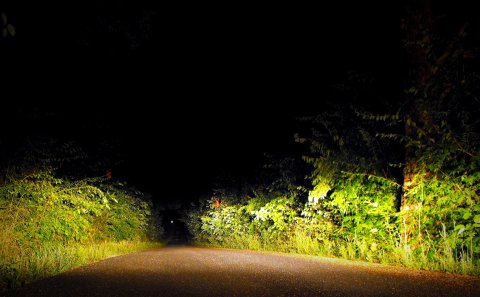 Driving Down This Haunted Kentucky Road Will Give You Nightmares
