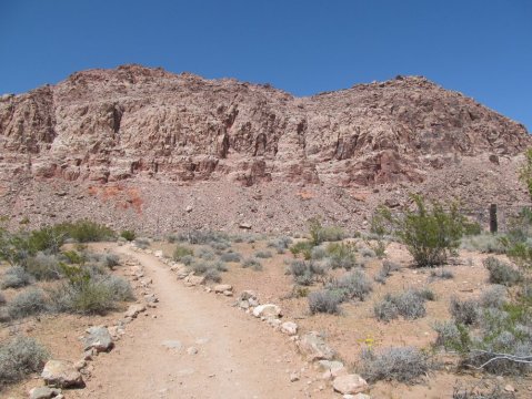 10 Incredible Hikes Under 5 Miles Everyone In Nevada Should Take