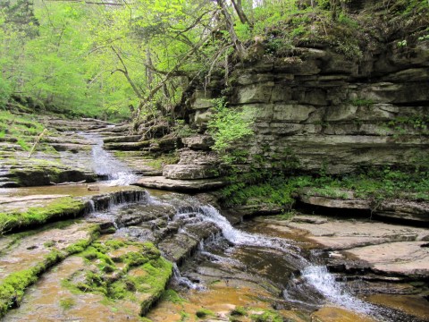 12 Incredible Hikes Under 5 Miles Everyone In Kentucky Should Take