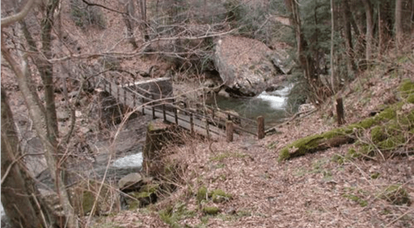 9 Incredible Hikes Under 5 Miles Everyone In West Virginia Should Take