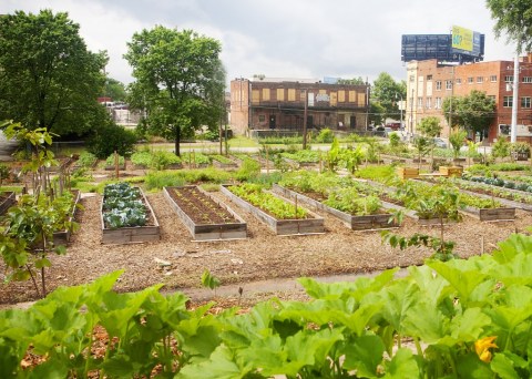 These 10 Incredible Farmers Markets In Georgia Are A Must Visit