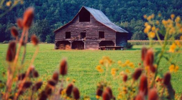 You Will Fall In Love With These 11 Old Barns In West Virginia