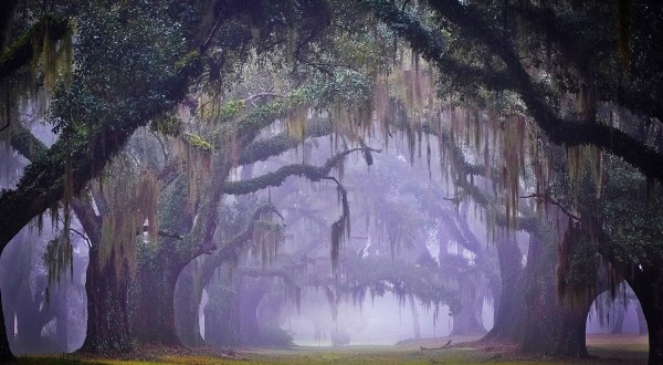 11 Eerie Shots In Louisiana That Are Spine-Tingling Yet Magical