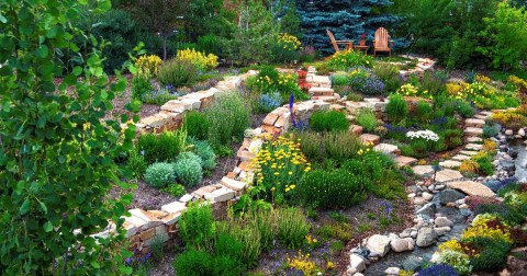 12 Amazing Hidden Gardens To Visit In Colorado This Spring