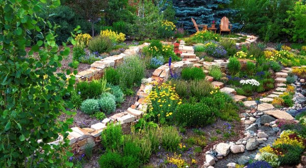 12 Amazing Hidden Gardens To Visit In Colorado This Spring