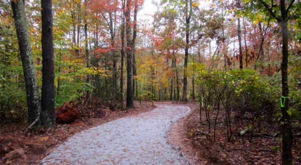 12 Incredible Hikes In South Carolina That Anyone Can Do