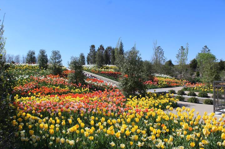 botanical gardens in OKC