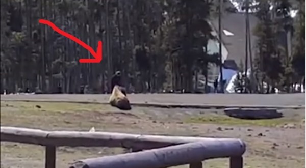 You Won’t Believe What This Woman Did In Yellowstone National Park