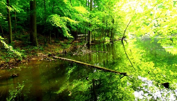 You Must See These 8 Stunning State Parks In Southern Indiana