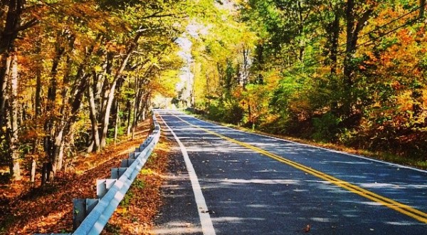 15 Reasons Why My Heart Will Always Be In Rhode Island