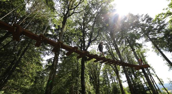 This Canopy Walk In Oregon Will Make Your Stomach Drop