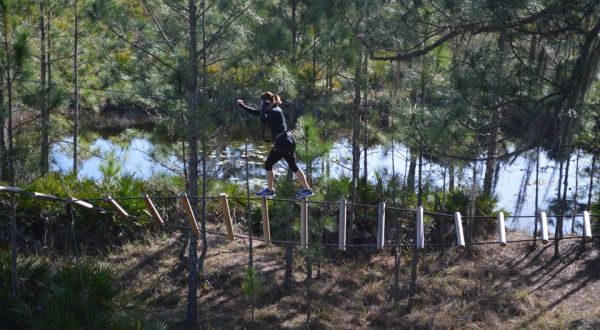 This Canopy Walk In Florida Will Make Your Stomach Drop