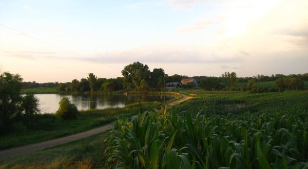 Visit These 7 Beautiful Farms In Minnesota For An Unforgettable Overnight Experience