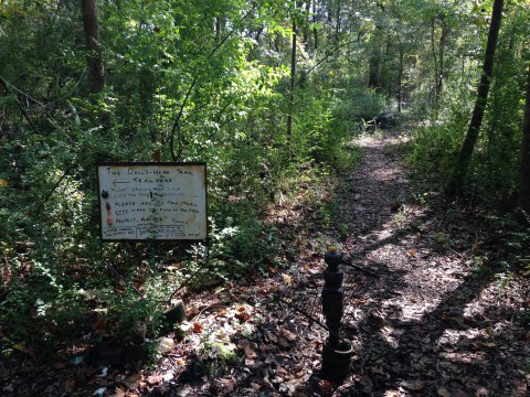 Take A Terrifying Hike Along Doll’s Head Trail, An Eerie Walking Path In Georgia