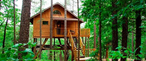 You'll Never Forget Your Stay In These 12 One Of A Kind Arkansas Cabins