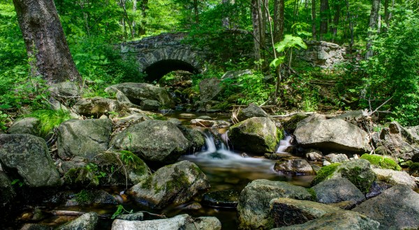 This Underrated Wildlife Preserve Just Might Be The Most Beautiful Place In New Jersey