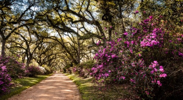 This Stunning Stroll Through St. Francisville Shows Off Louisiana’s Unmatched Beauty