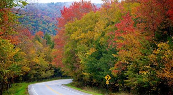 Take This Road To Nowhere In Vermont To Get Away From It All