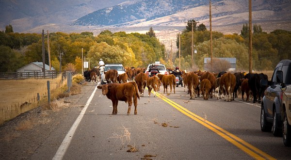 10 Things That Make People From Small Town Nevada The Best People