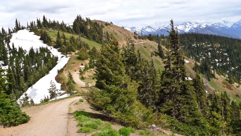 Here's Washington's Top Outdoor Attraction...And You'll Definitely Want To Do It