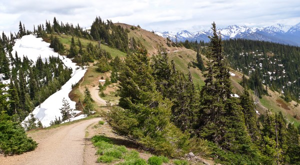 Here’s Washington’s Top Outdoor Attraction…And You’ll Definitely Want To Do It