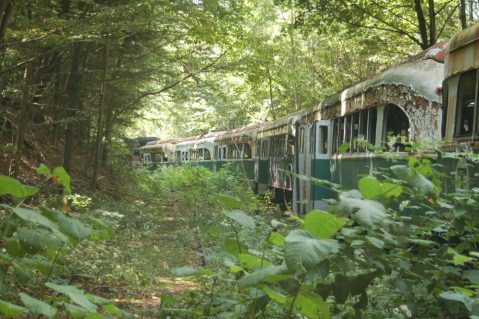 This Abandoned Trolley Graveyard In Pennsylvania Is Terribly Eerie