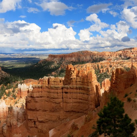 The Jaw Dropping Views At This National Park In Utah Will Amaze You